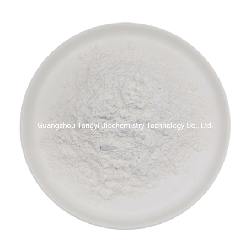 Professional Supply CAS 9005-25-8 Pregelatinized Starch / Corn Starch