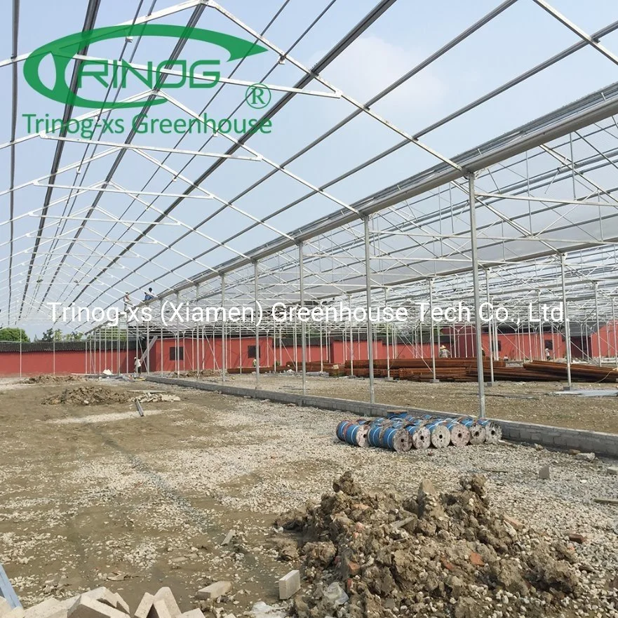 Single layer agriculture nursery Polycarbonate Greenhouse for Sale