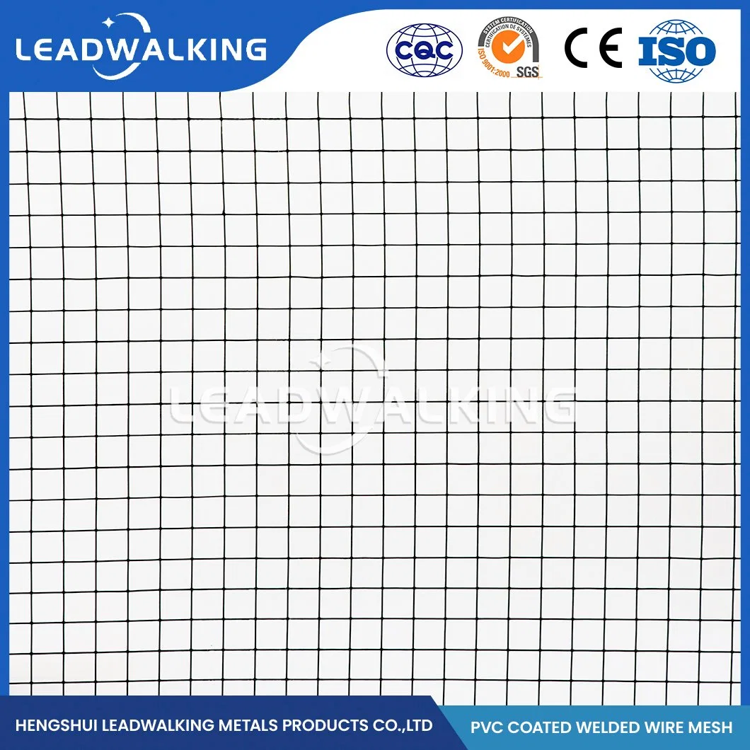 Leadwalking Geschweißte Drahtgitternetzplatten Fabrik Hochwertige Verzinkte Geschweißte Draht Netzing China 25.0X25.0mm Kunststoff PVC-beschichtet geschweißte Drahtgitter