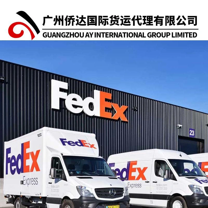 Professional DHL/FedEx/UPS/TNT Shipping Agent From China to Worldwide