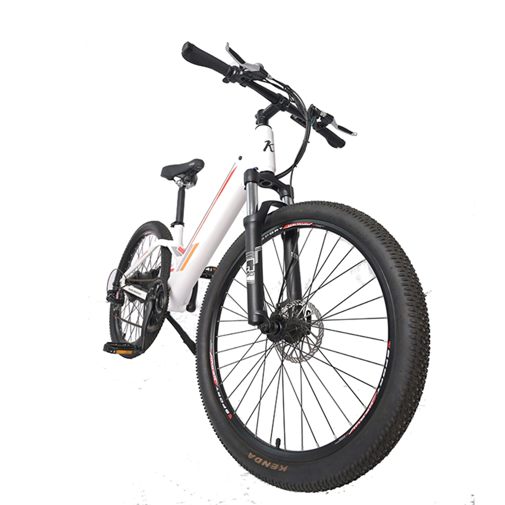 China CE Design 60V Cheap Carbon 27.5 MTB Electric Bicycle