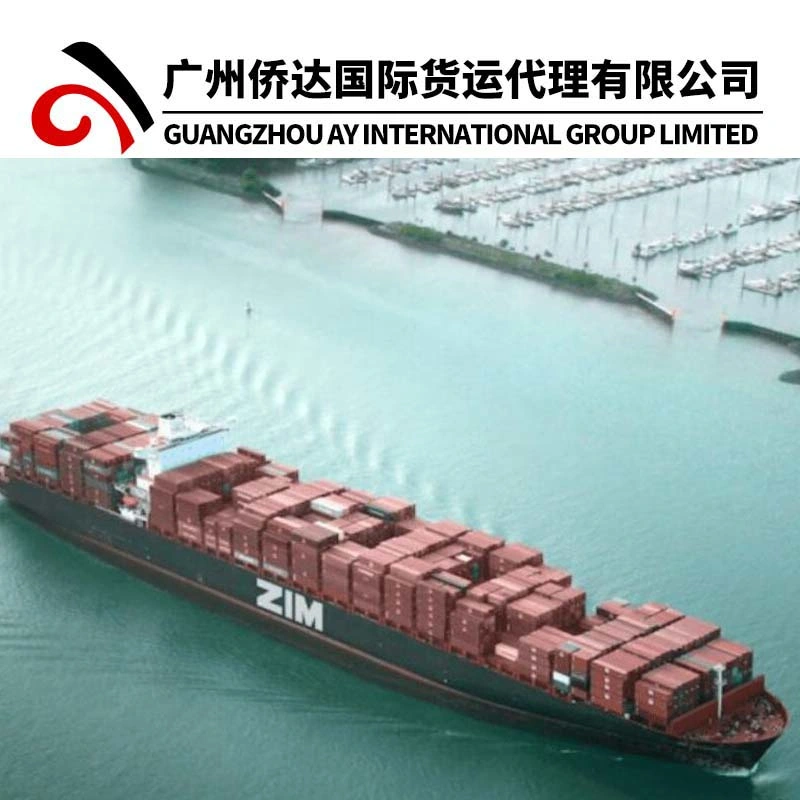 As companhias de transporte marítimo dos EUA fornecem 20 '/40' de Xangai - Ningbo - 11 dias - Oakland - Los Angeles perto ZIM