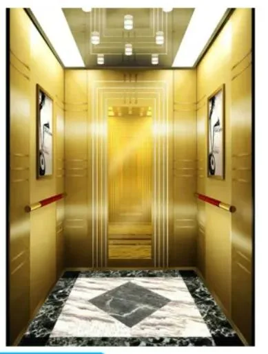 Professional Service Traction Series Home Elevator Lift for Sale