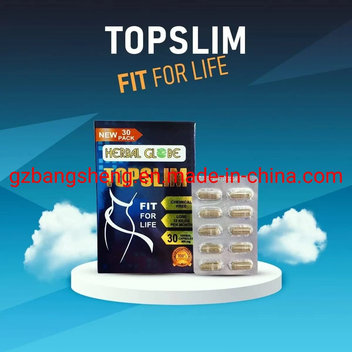 New Top Fit for Life Herbal Globe Weight Loss Slimming Capsules