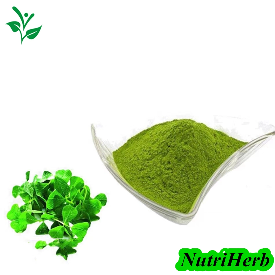 GMP Factory Supply 100% Natural Alfalfa Powder Alfalfa Juice Powder