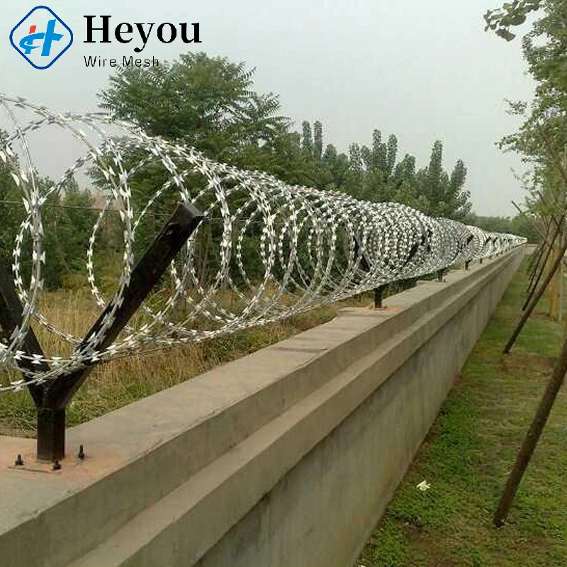 Bto-10 500mm Hot Sale Razor Wire Mesh Fence PVC Coated Razor Barbed Wire for Securtiy Anti-Climb Fence