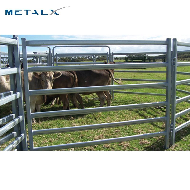 Galvanized Heavy Duty Square Tube 6 Bars Livestock Horse Cattle Headlock Panels
