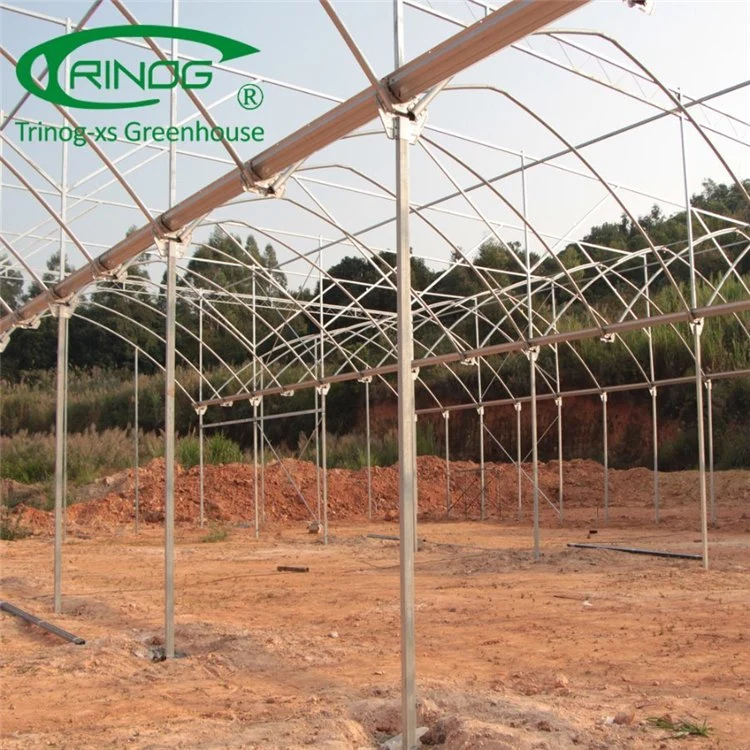 Low Price Agricultural Multi-span Film Greenhouse for Sale