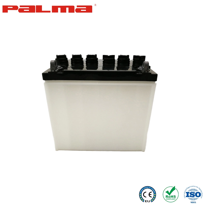 Palma bateria automóvel de alto desempenho China fabrico Yb10L-B de baterias de chumbo-ácido para motociclos Taxa de descarga da bateria de motociclo MF