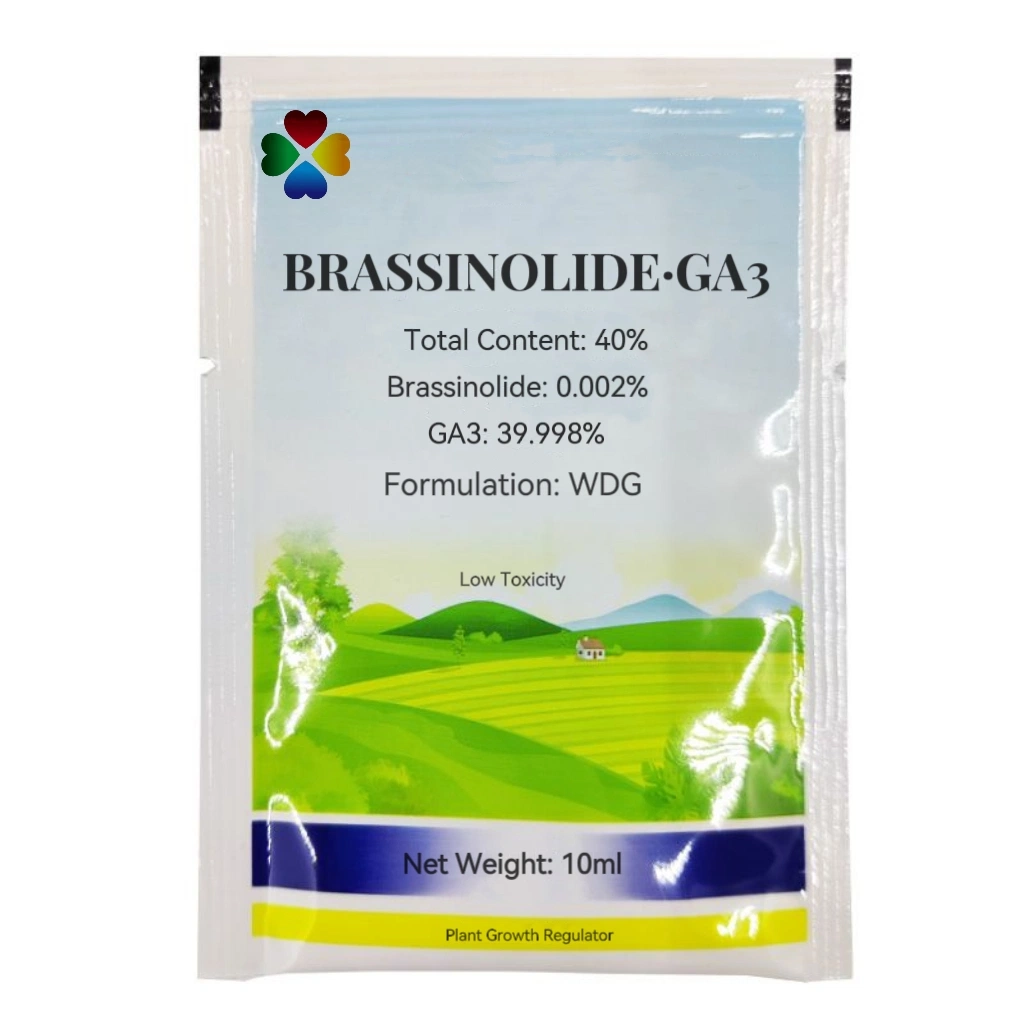 Hot Sale High quality/High cost performance  40% Brassinolide Ga3 Mixture