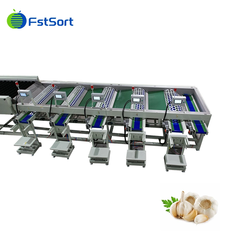 Hohe Effizienz Automatische Knoblauchbrechung Peeling Sortiermaschine Knoblauch Reiniger Maschine Knoblauch Waschmaschine zum Verkauf