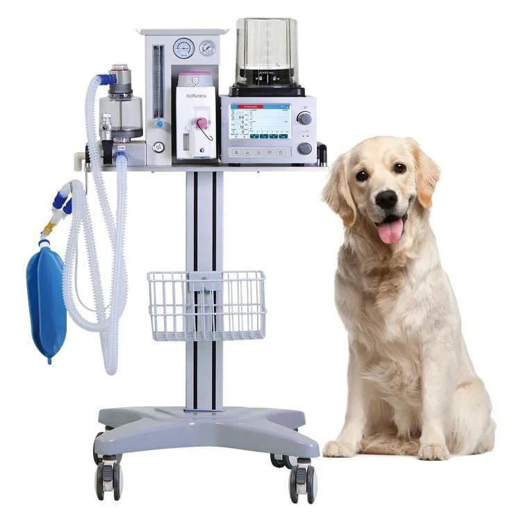 Hot Sale Medical Portable Anesthesia Ventilator, Vet Animal Anesthesia Machine