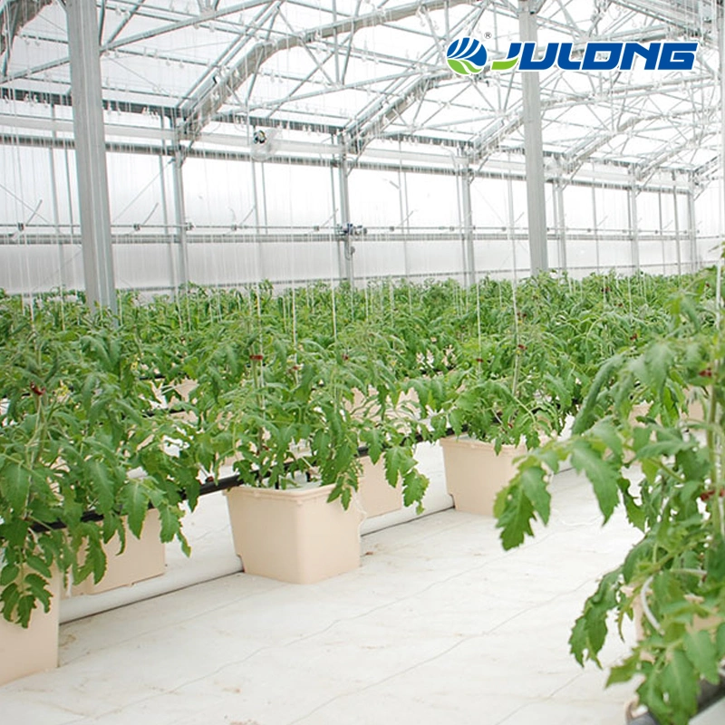 Agricultural Equipment Climate Control Single-Span Greenhouse