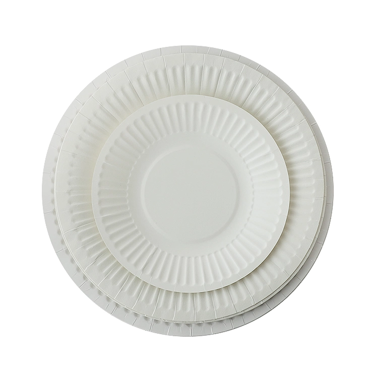 Custom Biodegradable Disposable Party White Paper Plates