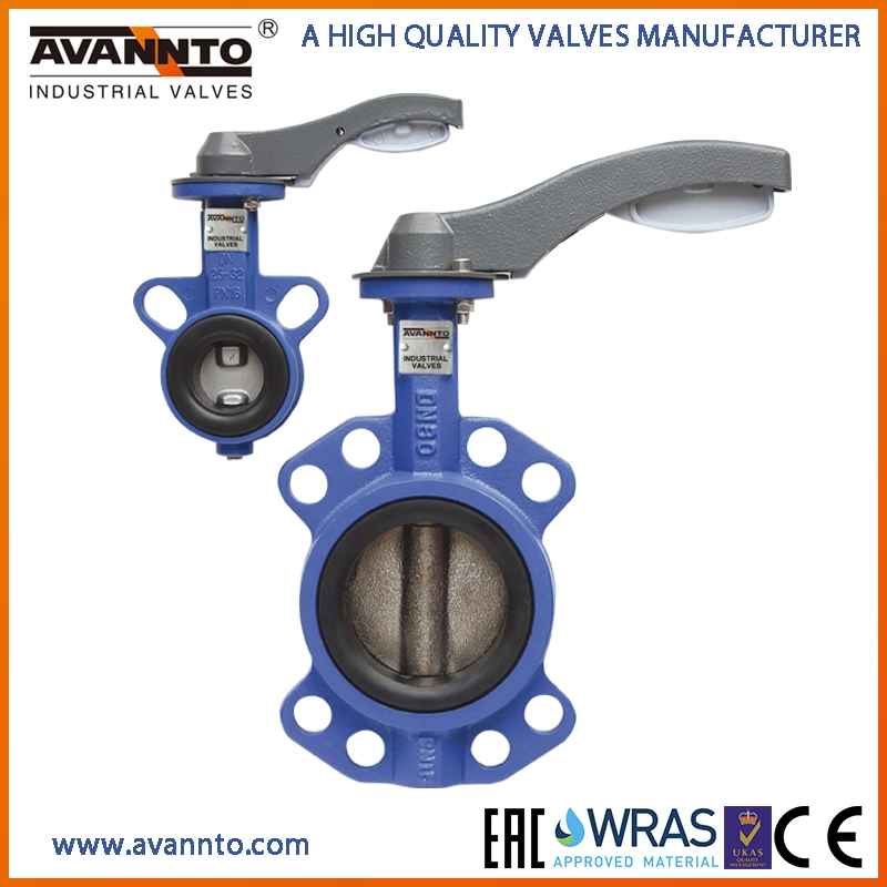 Saf2205 Saf2507 1.4529 1.4469 1.4462 1.4408 CF3 CF3m F53 F55 Ss Duplex Stainless Steel Butterfly Valves