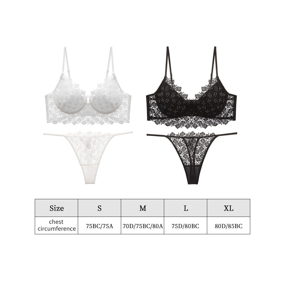 Wholesale/Supplier Daily Underwear Womens Transparent Lace Embroidery Delicate Sexy Lace Ladies Bra & Brief Sets