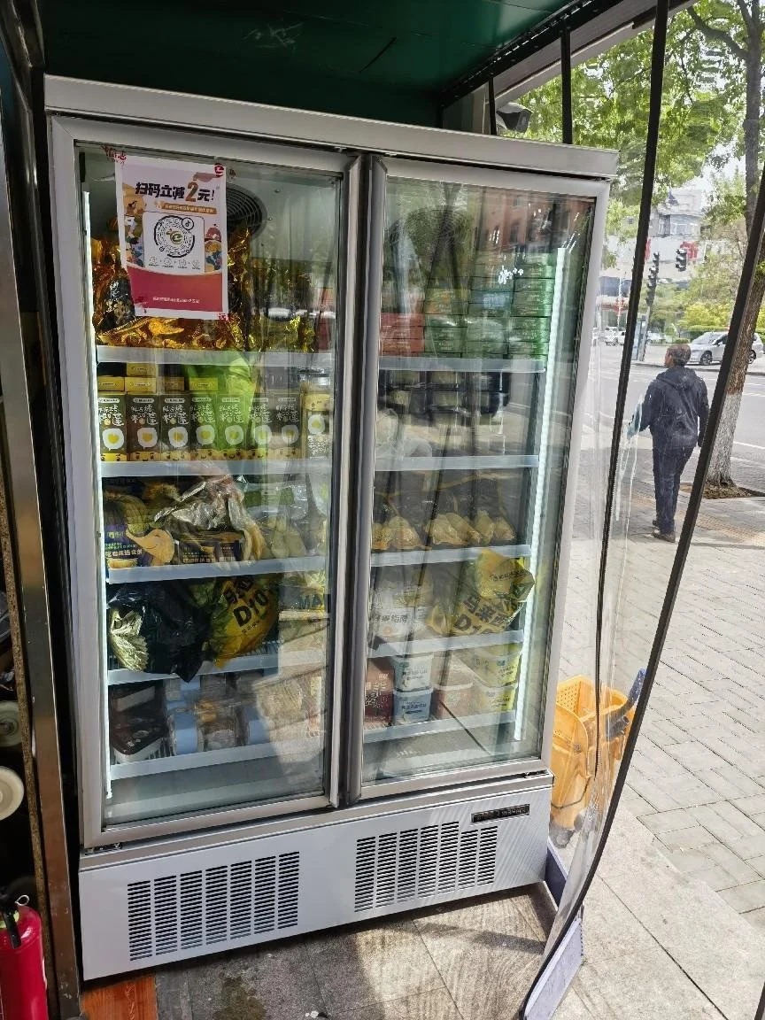 Congelador vertical de puerta de vidrio enchufable de supermercado comercial