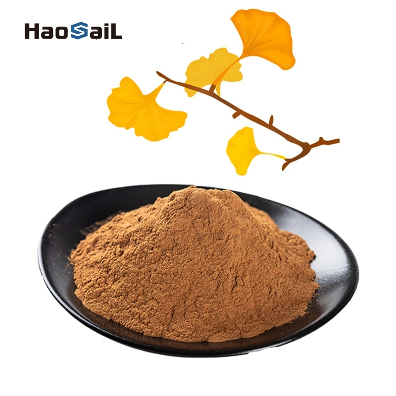 Natural Leaf Powder Folium Ginkgo Biloba Extract