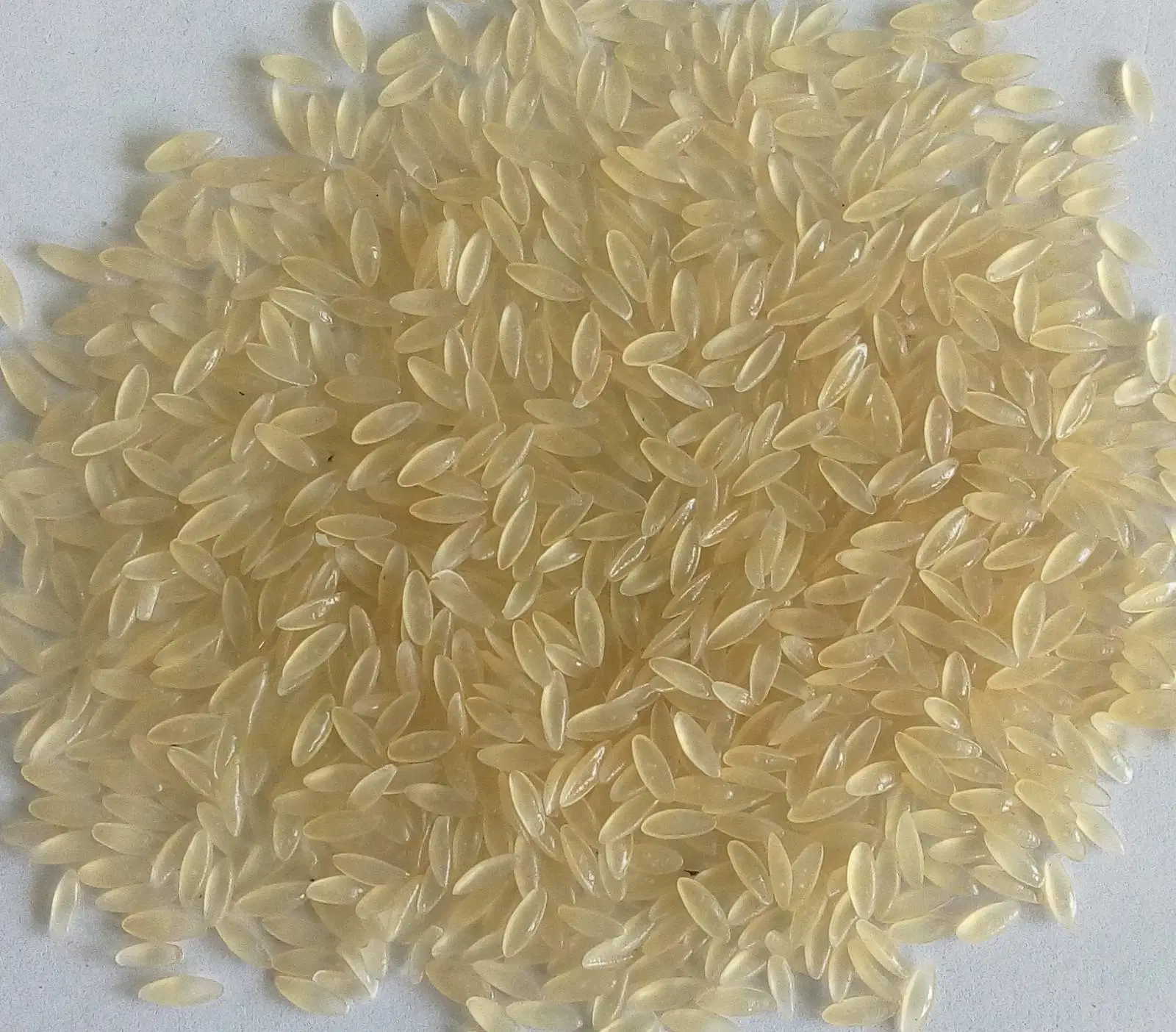 Broken Rice Powder Re-Shaping Machine Nutritional Artificial Rice Making Machine Processing Line