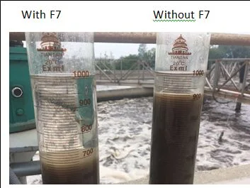 Liquid Cationic Coagulant Superior Clarification in Municipal Sewage Treatment