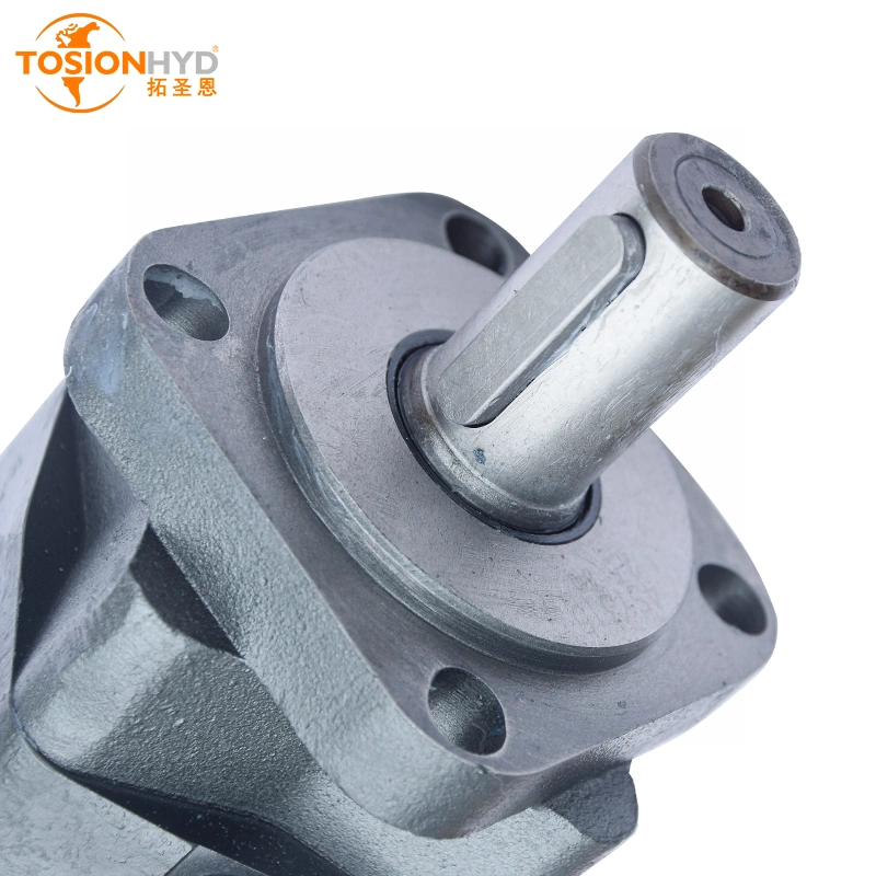 China Manufacturers Bm3 BMS/Oms 80/100/125/160/200/250/315/400/475 Orbital Wheel Hydraulic Motor with Danfoss