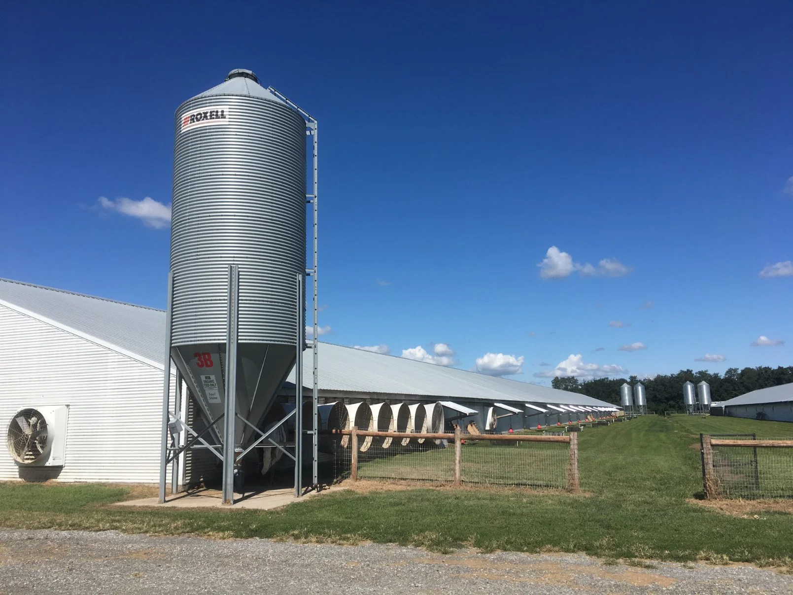 Cooling Wind Prevention Galvanized Steel Frame Farm Poultry Chicken House