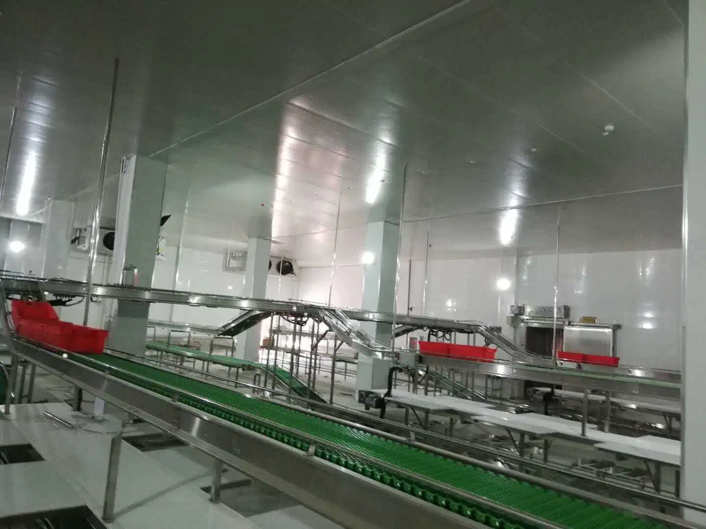 Meat Cutting Process Conveyor Belt Packing Line