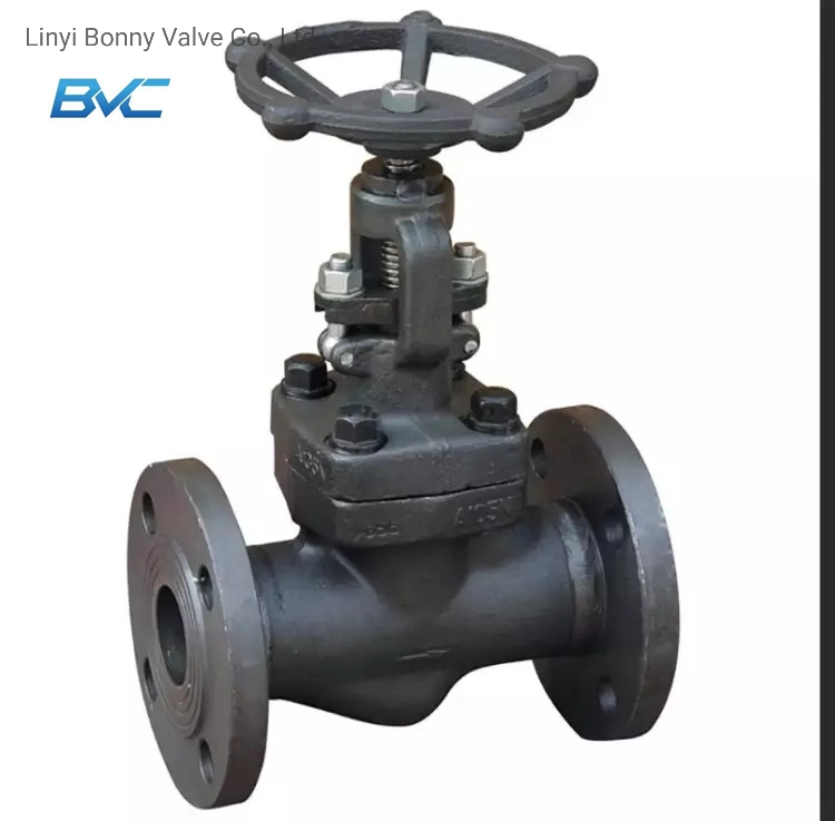 Double Flanges Globe Valve with A105 1500lb