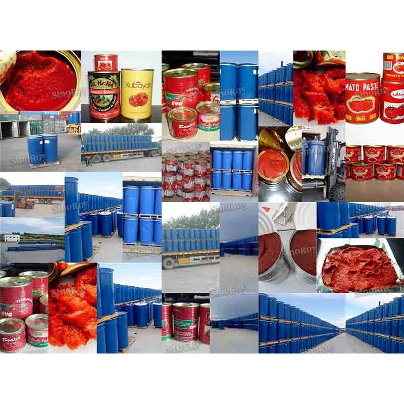 Tomato Paste in Barrel/Tomato Paste in Drum/ Tomato Paste in Bag/Tomato Paste in Aseptic Bag