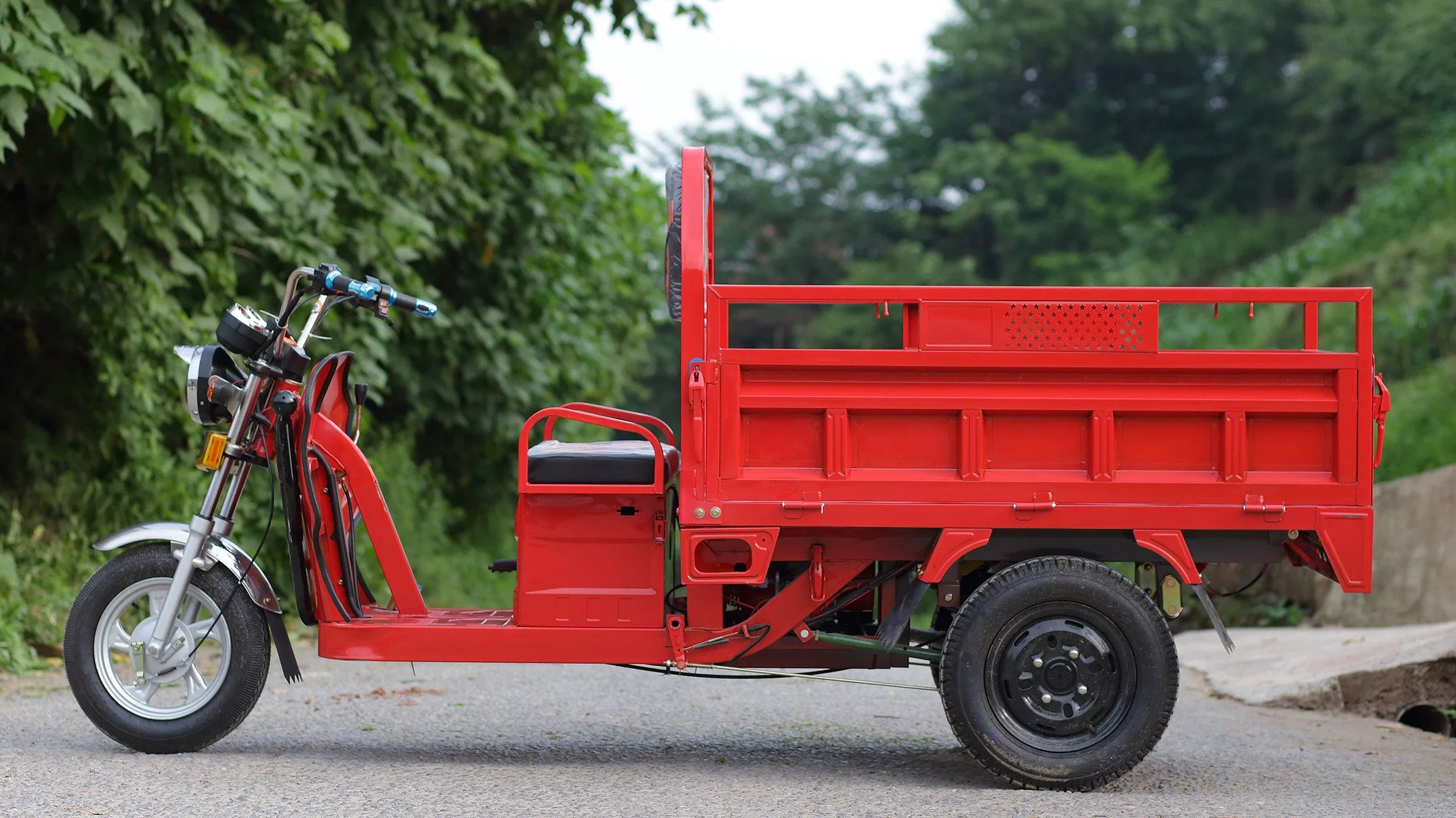 Fuel Cargo Loader Tricycle Auto Rickshaw Passenger Three Wheel Motorcycle