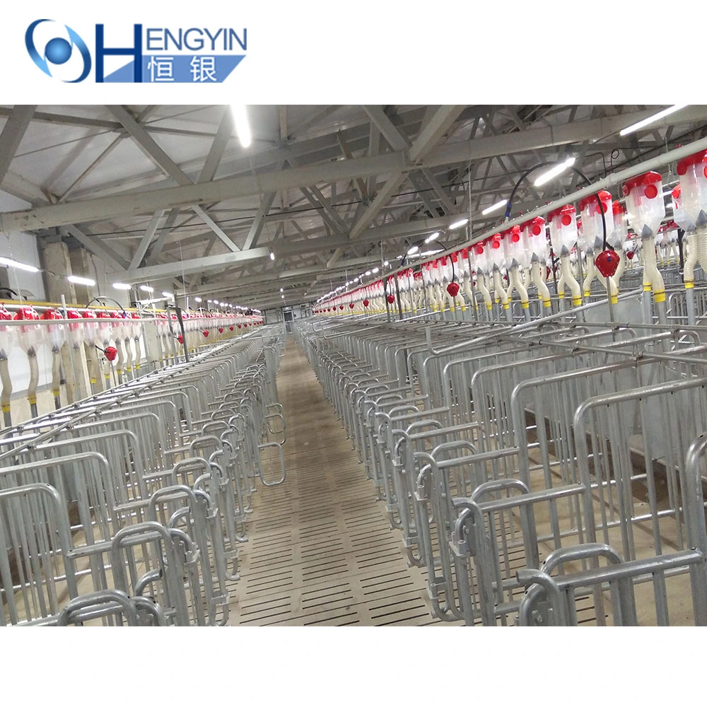 Pig Breeding Cage Automatic Systems for Pigs Farm