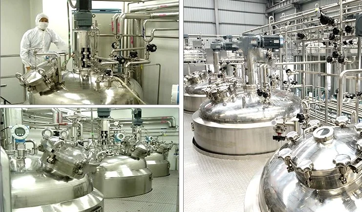 1000L Stainless Steel Mixed Storage Fermentation Tank Mixing Tank