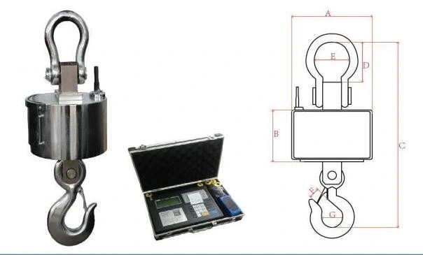 Heavy Duty 30t Electronic Crane Scale Price