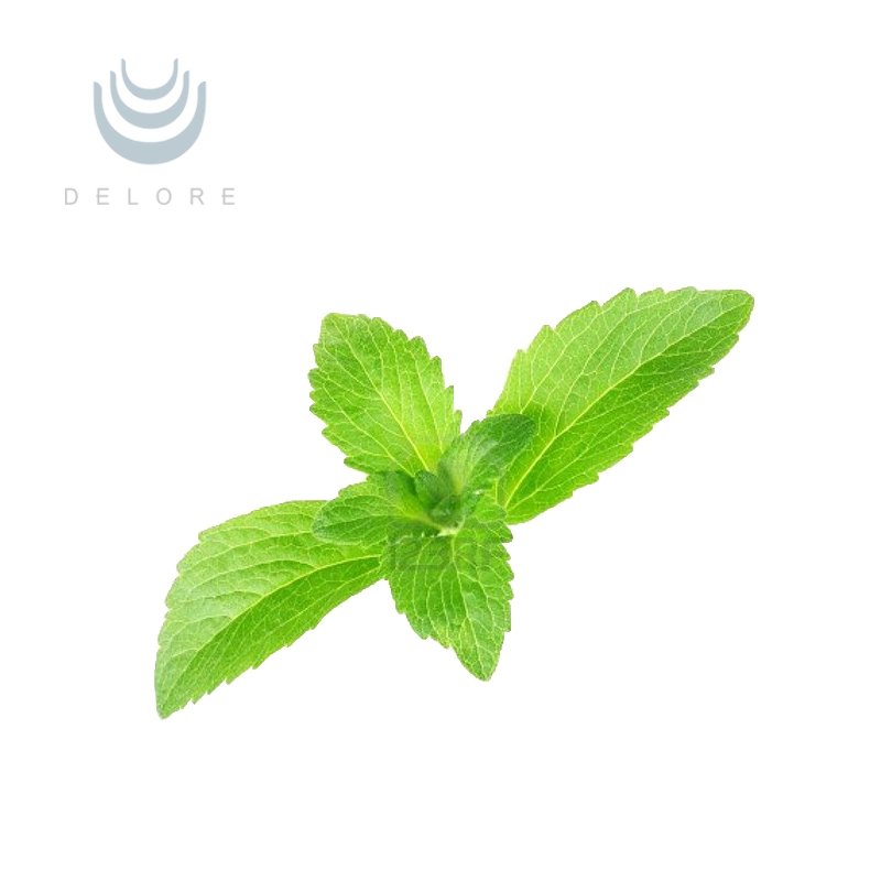 Exportação de fábrica Stevia Heterósidos Planta de extração de Stevia Stevia 95% Reba Stevia rebaudiana