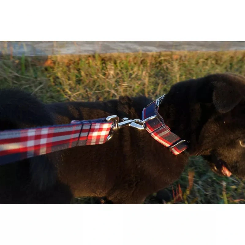 Plaid Fabric Designer Double Layer Soft Dog Collar