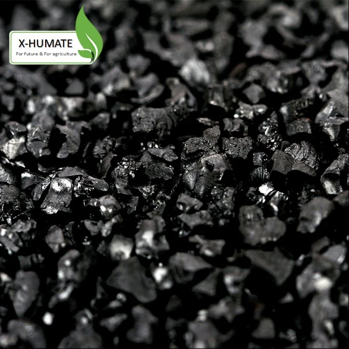 X-Humate Humic Manufacturer 98% Super Potassium Humate