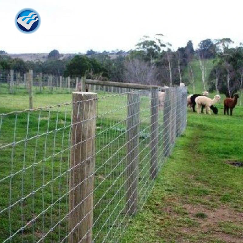 4 pieds 330FT 1.5mm-2.5mm joint charnière à verrouillage serré à anneau fixe Barrière de sécurité métallique galvanisée de la ferme