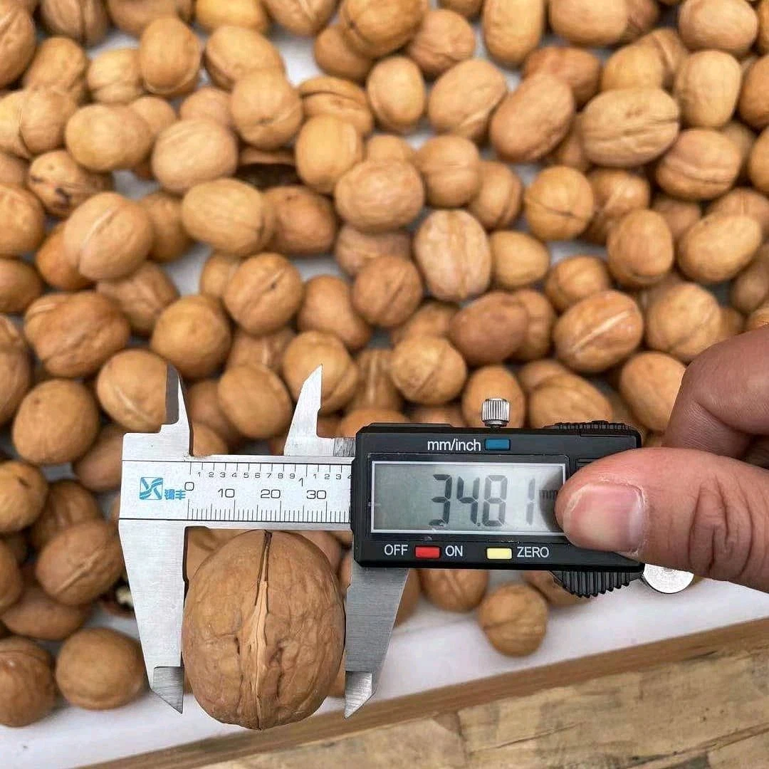 Comercio al por mayor 100% naturales de buena calidad de alimentos saludables nueces a granel