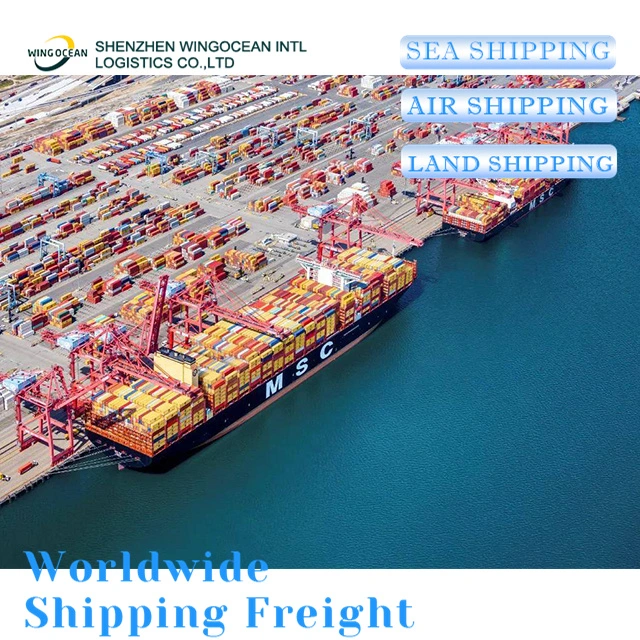 Excellent Professional Air Ocean Freight Forwarder Shipping From Shenzhen to Mexico/ Australia