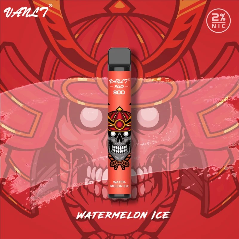 Factory Price Watermelon Ice Disposable/Chargeable Vape Pen