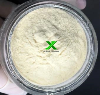 Zhong Xuan Deosen Bulk High E415 Xanthan Gum Powder Food Grade