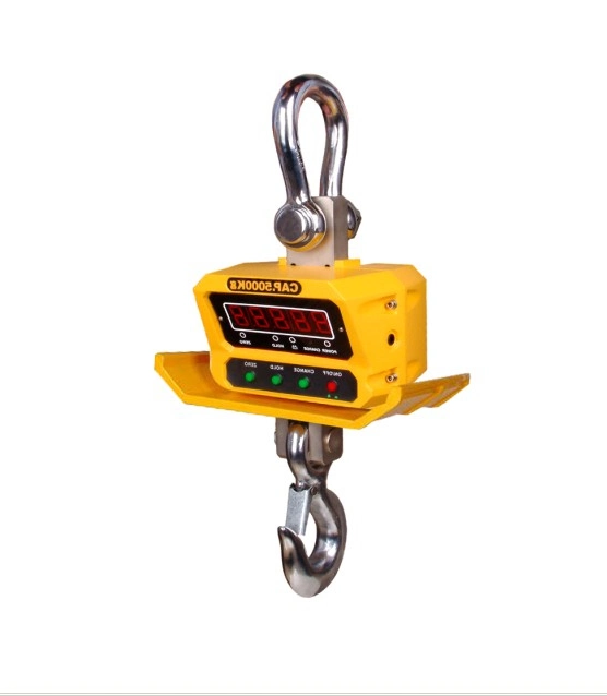 Acs-a-2t Heatproof Digital Weighing Crane Scale for Industry