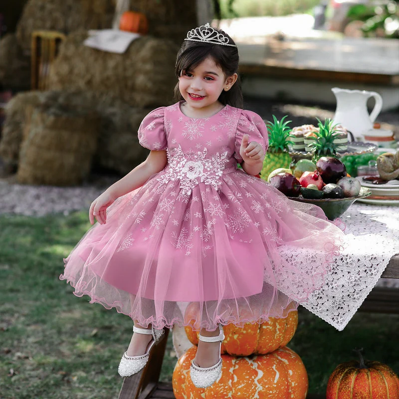 New Flower Girl Skirt Short Sleeve Embroidery Party Dress Wedding Evening Dress