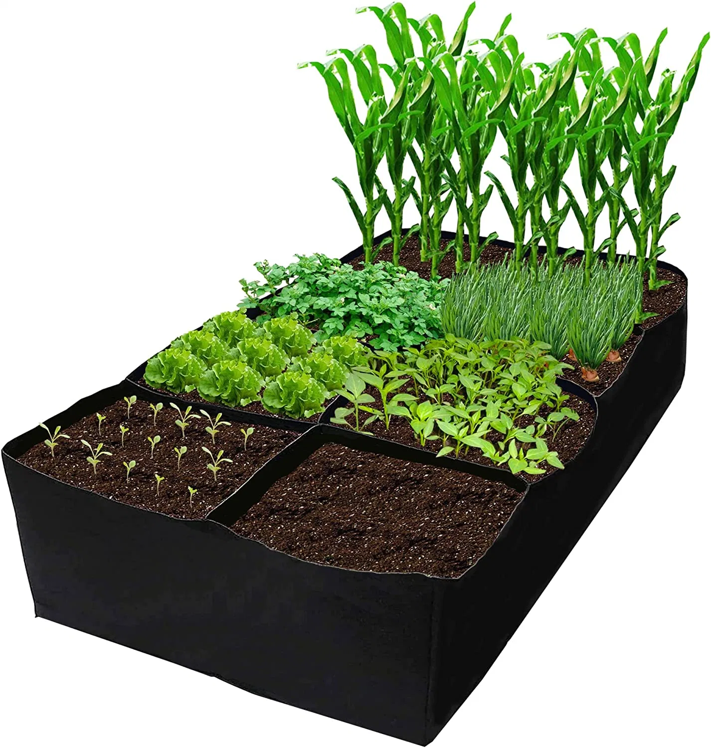 Tecido de dandelion elevado com cama de jardim 6X3X1FT