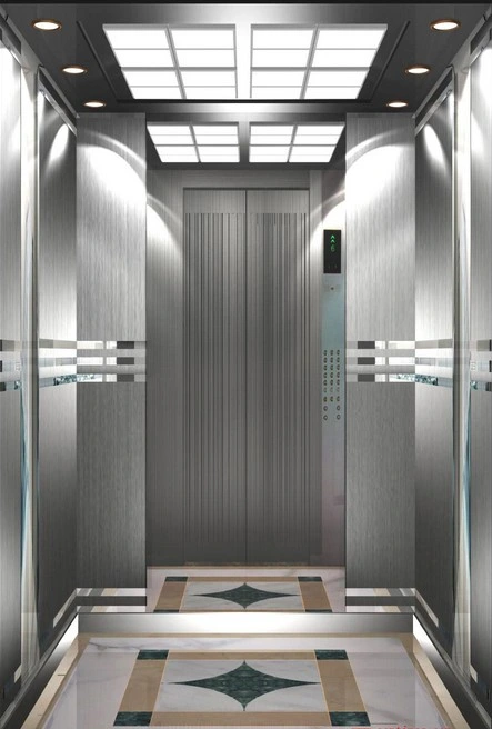 Passenger Elevator/Passenger Lift/Elevator/Elevator Lift