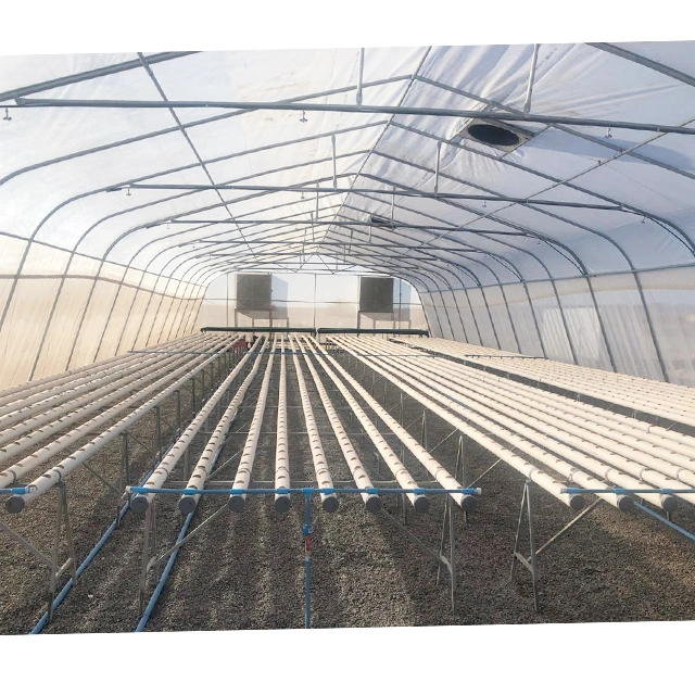 Low Cost Invernadero Agricultural Single-Span Greenhouses for Sale