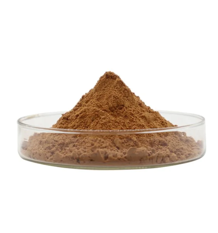 Supplier Wholesale/Supplier Melissa Officinalis/Lemon Balm Leaf Extract Powder