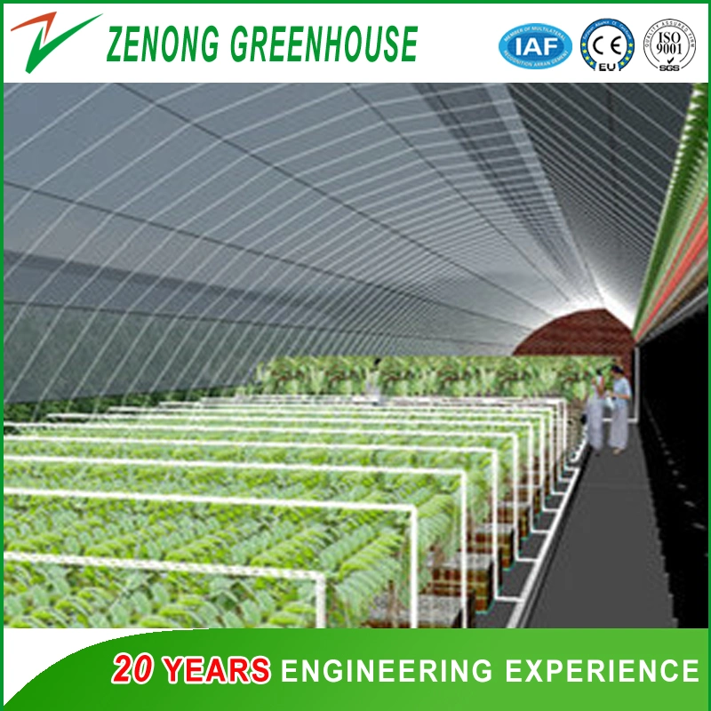 Greenhouse a-Frame Hydroponic System with Substrate for Vertical Farming for Strawberry/Leafy Vegetables