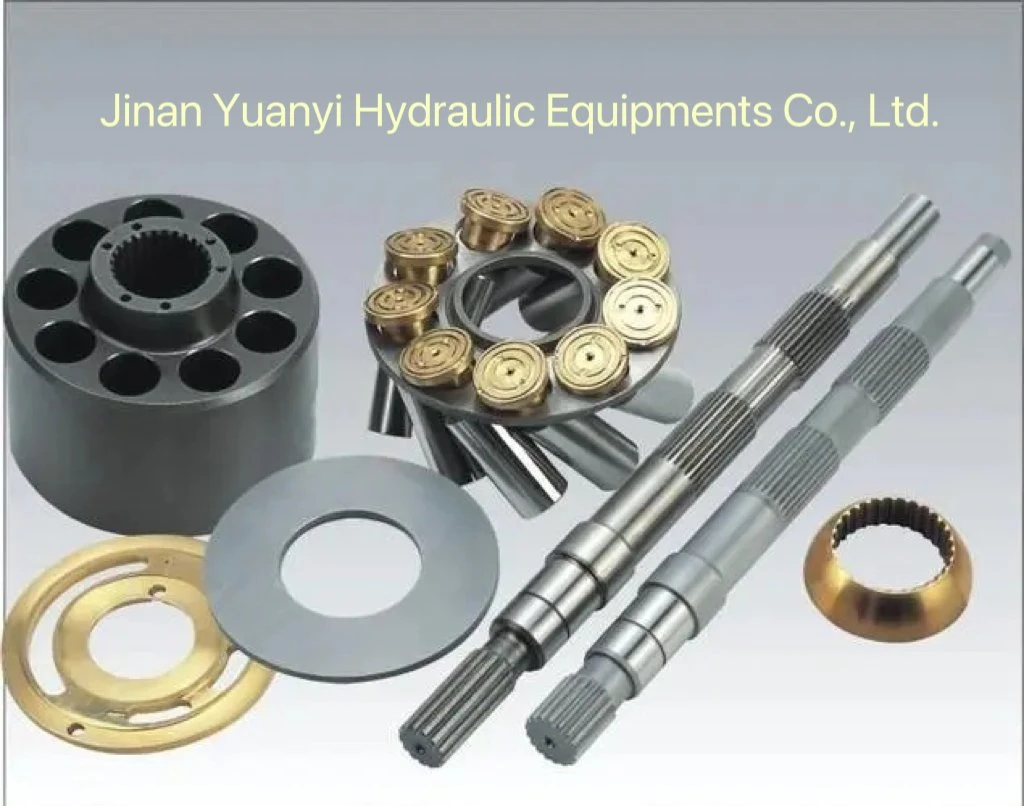 A11vo Series A11vo60 A11vo75 A11vo 95 Rexroth Hydraulic Pump Parts