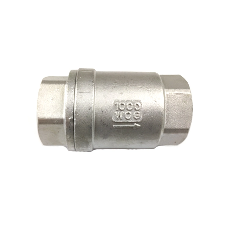 BSPP BSPT NPT Stainless Steel 304 316 CF8 CF8m Screw Swing Check Valve